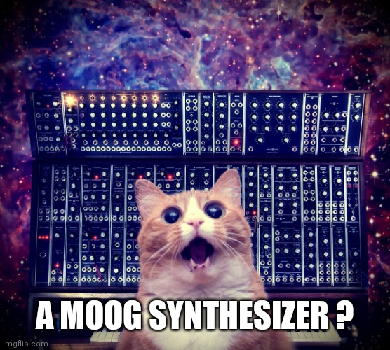 Cat on synthesizer in space | A MOOG SYNTHESIZER ? | image tagged in cat on synthesizer in space | made w/ Imgflip meme maker