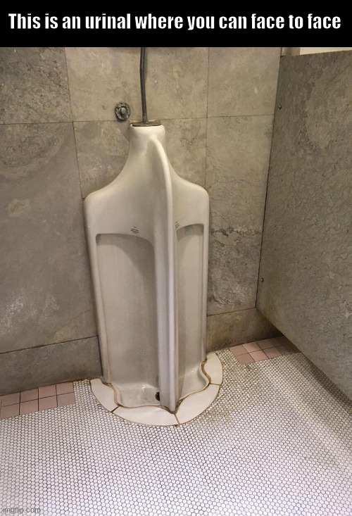Face to face peeing lol | This is an urinal where you can face to face | image tagged in urinal | made w/ Imgflip meme maker