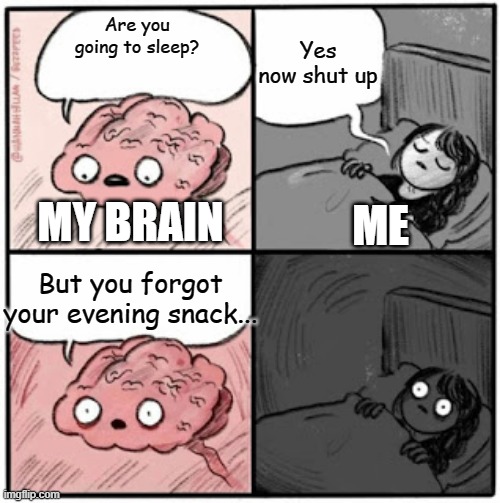 I always have a evening snack before i go to sleep | Yes now shut up; Are you going to sleep? MY BRAIN; ME; But you forgot your evening snack... | image tagged in brain before sleep,snack,snacks,asleep,hungry,memes | made w/ Imgflip meme maker