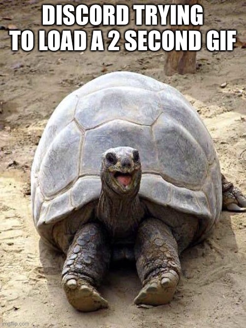Smiling happy excited tortoise | DISCORD TRYING TO LOAD A 2 SECOND GIF | image tagged in smiling happy excited tortoise | made w/ Imgflip meme maker
