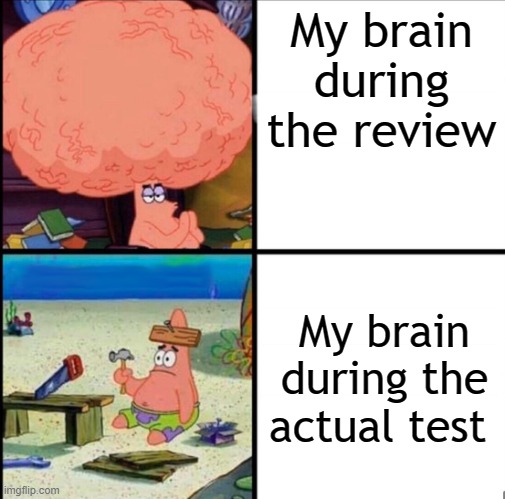I've got some big tests coming up rip | My brain during the review; My brain during the actual test | image tagged in patrick big brain,memes,school,test | made w/ Imgflip meme maker