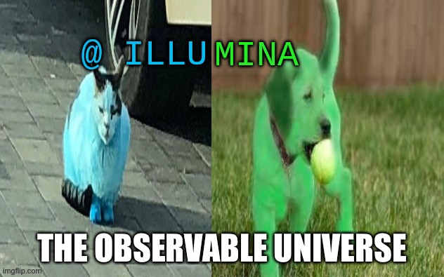 illumina new temp | THE OBSERVABLE UNIVERSE | image tagged in illumina new temp | made w/ Imgflip meme maker