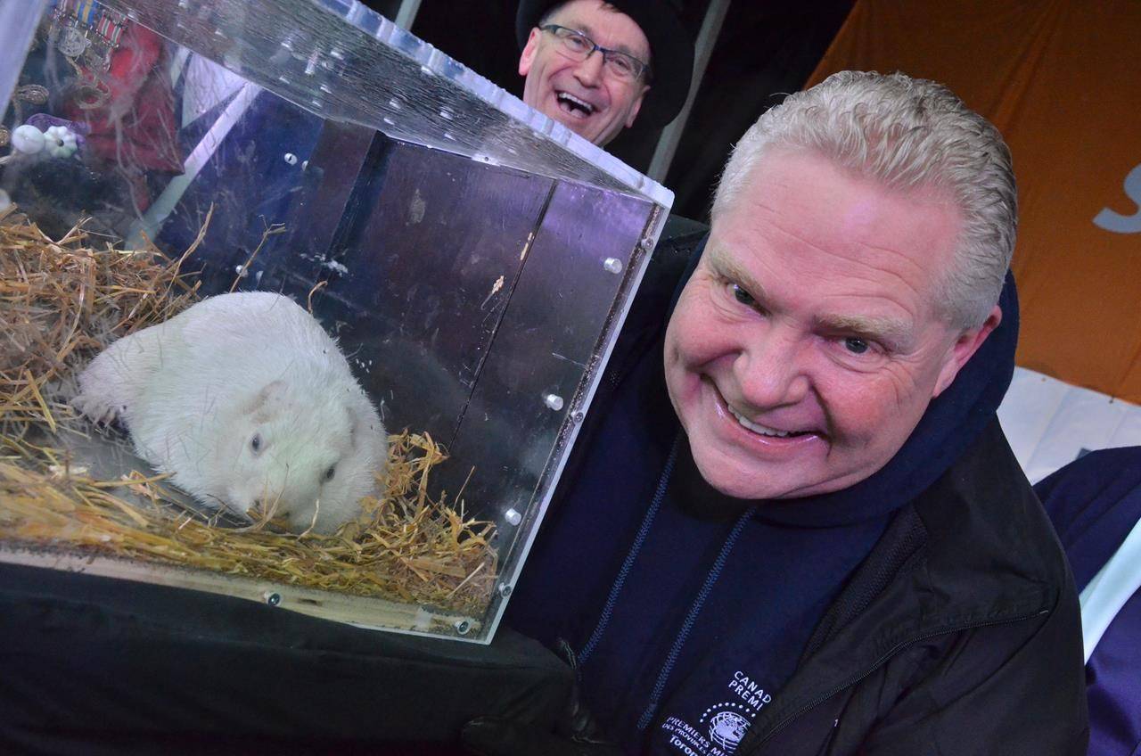 High Quality Doug Ford Groundhog Blank Meme Template