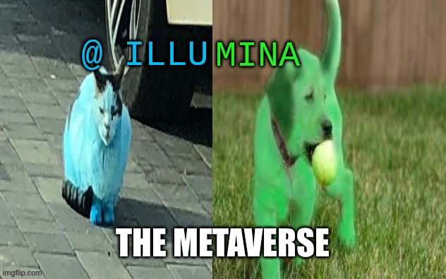 illumina new temp | THE METAVERSE | image tagged in illumina new temp | made w/ Imgflip meme maker