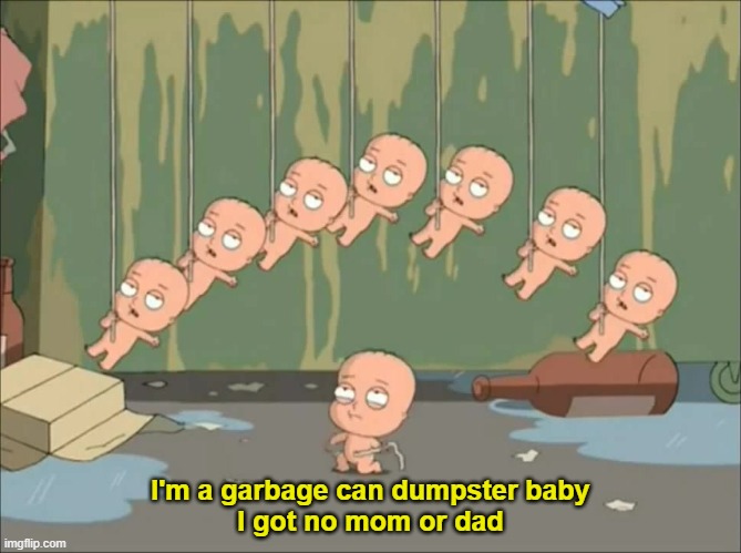 I'm a garbage can dumpster baby
I got no mom or dad | made w/ Imgflip meme maker