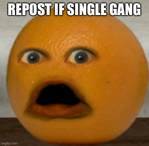 Shocked Orange | REPOST IF SINGLE GANG | image tagged in shocked orange | made w/ Imgflip meme maker