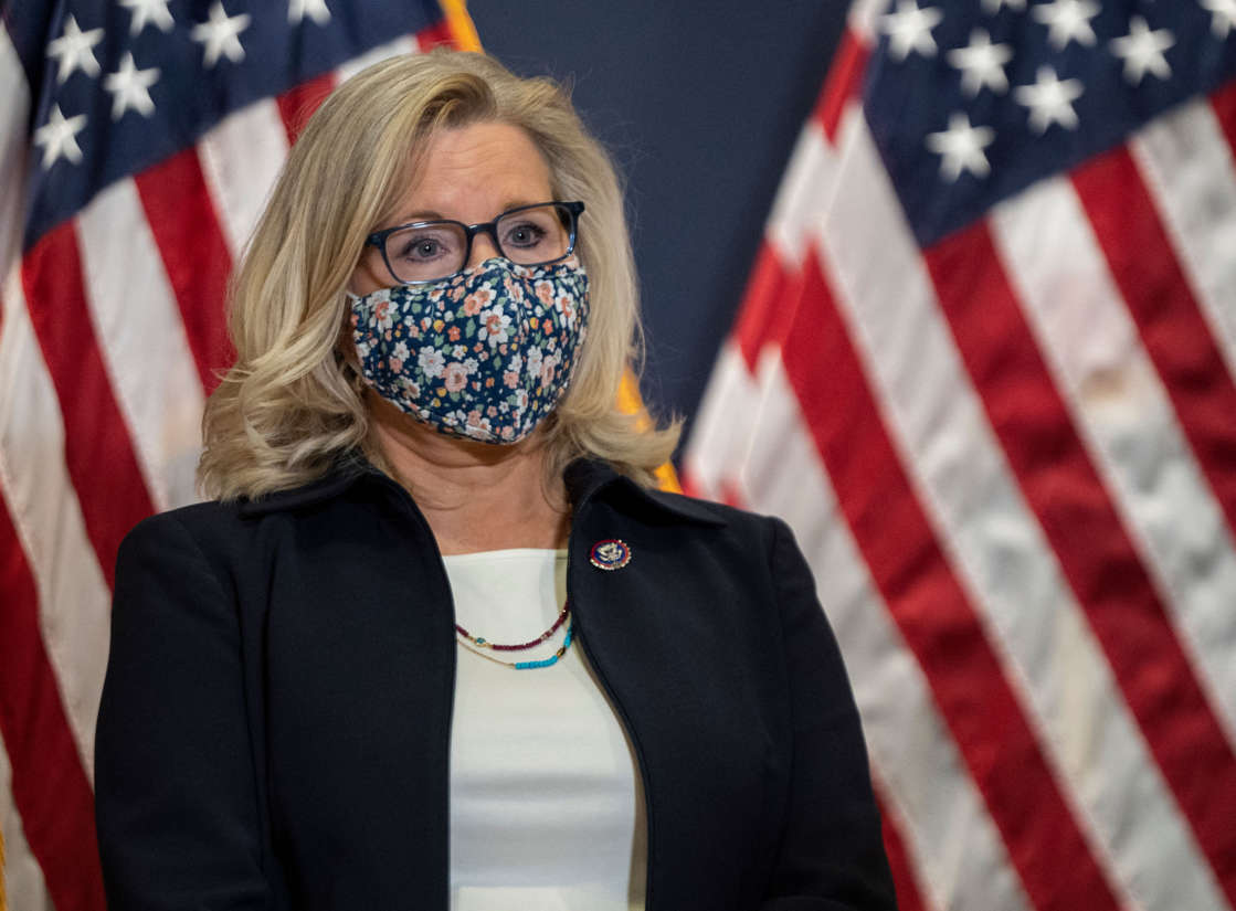 Liz Cheney face mask Blank Meme Template
