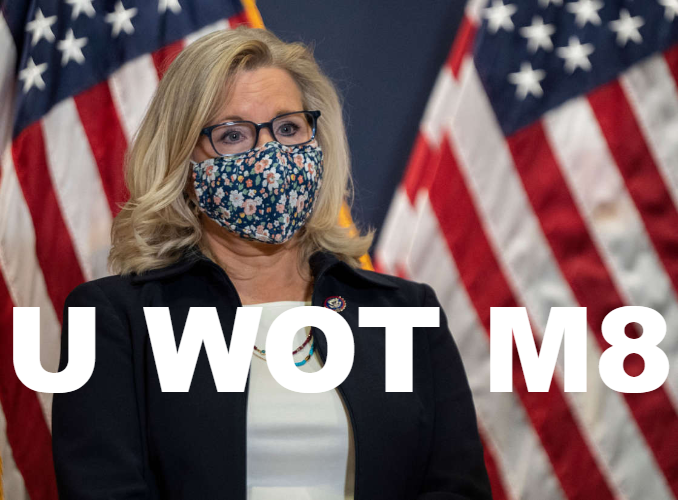 Liz Cheney U Wot M8 Blank Meme Template