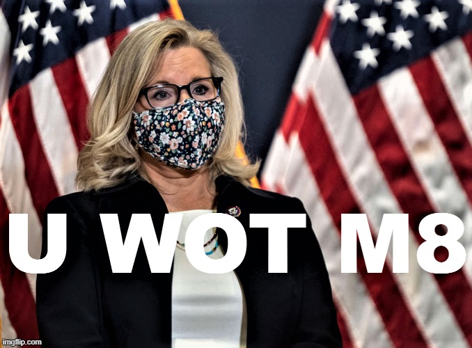 "Steer away from the dangerous and anti-democratic Trump cult of personality," she says, as she's frog-marched out by MAGA goons | image tagged in liz cheney u wot m8 redux,gop,republicans,republican party,cult,donald trump | made w/ Imgflip meme maker