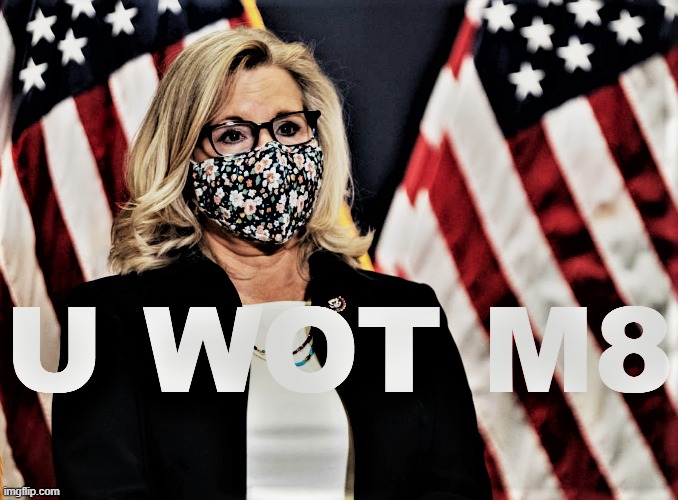 "Steer away from the dangerous and anti-democratic Trump cult of personality," she says, as she's frog-marched out by MAGA goons | image tagged in liz cheney u wot m8 redux 2,republican party,gop,republicans | made w/ Imgflip meme maker