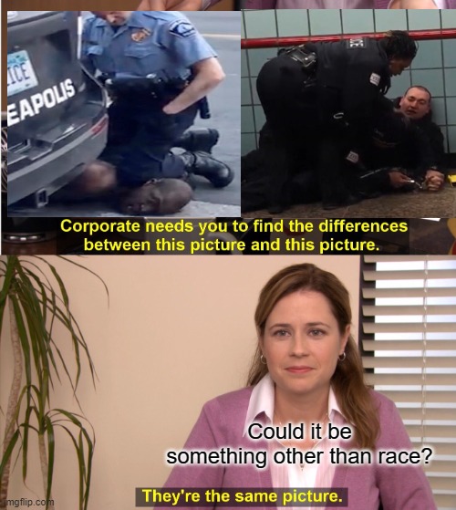 A society which chooses war against the police better learn to make peace with its criminals - George Floyd vs Ariel Roman | Could it be something other than race? | image tagged in memes,they're the same picture | made w/ Imgflip meme maker