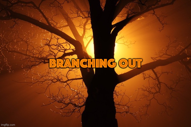 The Great Commission | Branching Out | image tagged in go everywhere,make disciples | made w/ Imgflip meme maker