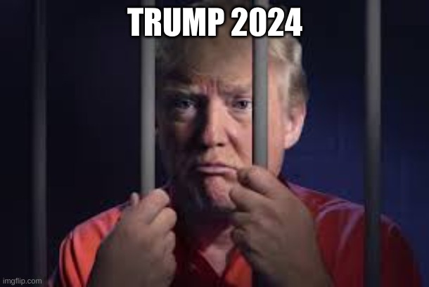 Trump jail | TRUMP 2024 | image tagged in trump jail | made w/ Imgflip meme maker
