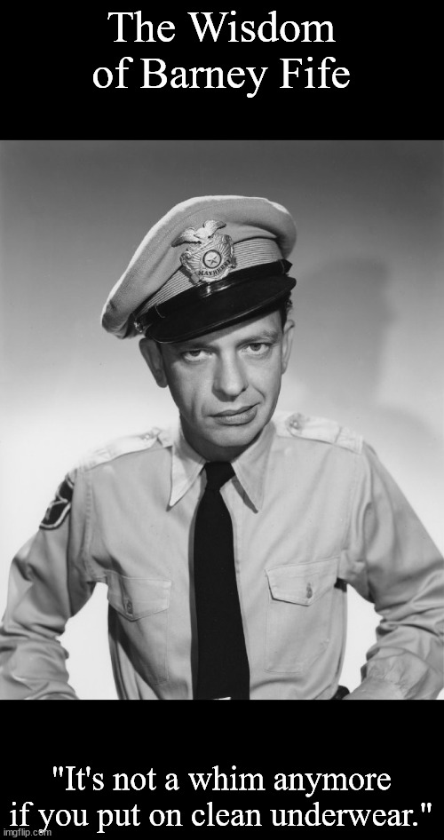 Barney Fife | The Wisdom of Barney Fife; "It's not a whim anymore if you put on clean underwear." | image tagged in barney fife | made w/ Imgflip meme maker