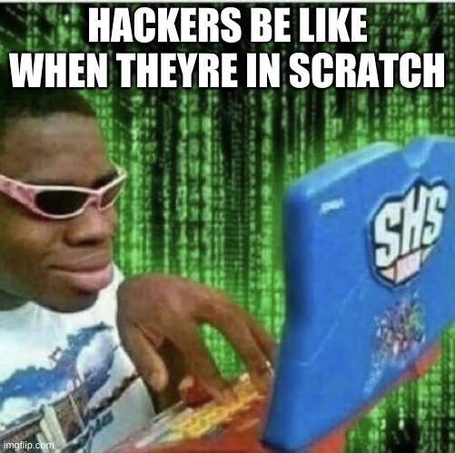 haker | HACKERS BE LIKE WHEN THEYRE IN SCRATCH | image tagged in ryan beckford | made w/ Imgflip meme maker