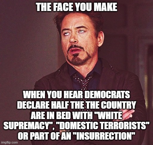 Liberalism is a mental disorder | THE FACE YOU MAKE; WHEN YOU HEAR DEMOCRATS DECLARE HALF THE THE COUNTRY ARE IN BED WITH "WHITE SUPREMACY", "DOMESTIC TERRORISTS" OR PART OF AN "INSURRECTION" | image tagged in robert downey jr rolling eyes,liberals,race baiters,anti-american,dimwits,democrats | made w/ Imgflip meme maker