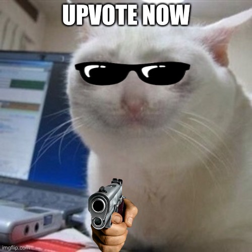 UPVOTE NOW | UPVOTE NOW | image tagged in crying cat | made w/ Imgflip meme maker