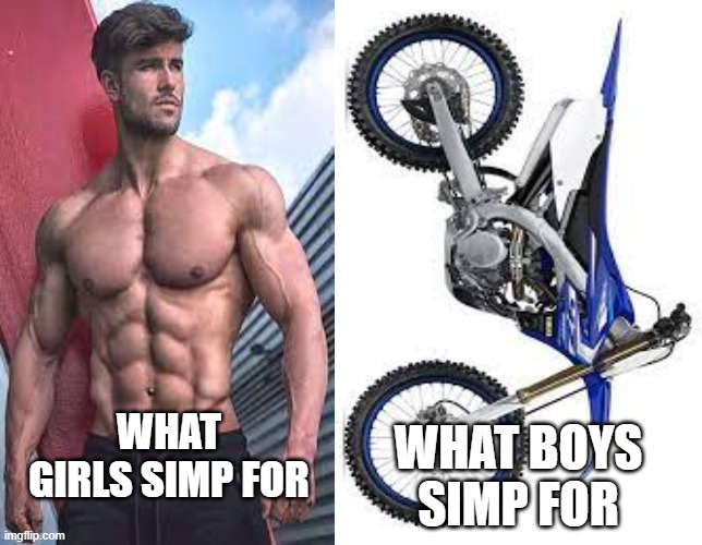 What girls and boys Simp for | WHAT BOYS SIMP FOR; WHAT GIRLS SIMP FOR | image tagged in simp | made w/ Imgflip meme maker