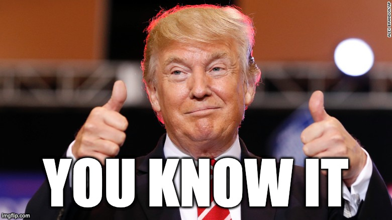 Donald Trump thumbs up | YOU KNOW IT | image tagged in donald trump thumbs up | made w/ Imgflip meme maker
