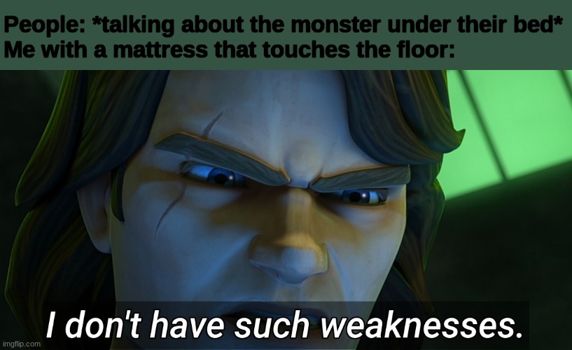 L.M.F.A.O | People: *talking about the monster under their bed*
Me with a mattress that touches the floor: | image tagged in i don't have such weaknesses anakin | made w/ Imgflip meme maker