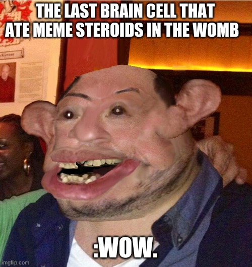 My last brain cell | THE LAST BRAIN CELL THAT ATE MEME STEROIDS IN THE WOMB :WOW. | image tagged in my last brain cell | made w/ Imgflip meme maker