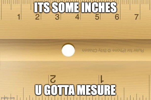 ROLER | ITS SOME INCHES; U GOTTA MESURE | image tagged in ruler,hehe | made w/ Imgflip meme maker