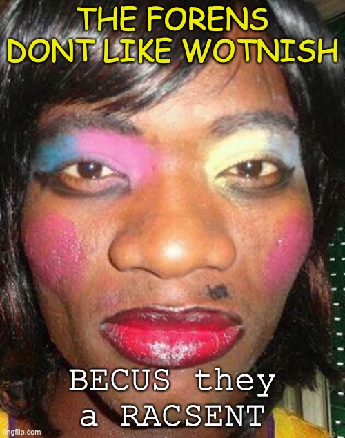 WOntihsis a NICE | THE FORENS DONT LIKE WOTNISH; BECUS they a RACSENT | image tagged in wontishi,hot ladey,lady,pretty girl | made w/ Imgflip meme maker
