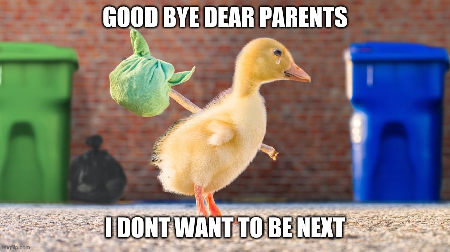 GOOD BYE DEAR PARENTS I DONT WANT TO BE NEXT | made w/ Imgflip meme maker