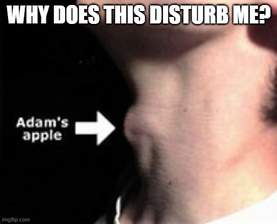 WHY DOES THIS DISTURB ME? | made w/ Imgflip meme maker