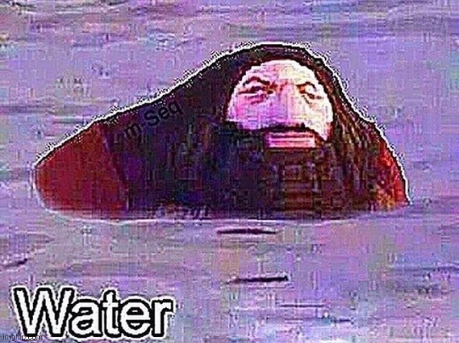 PS1 Hagrid "Water" Meme | image tagged in ps1 hagrid water meme | made w/ Imgflip meme maker