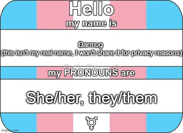 Sharing this because I'm sure some people don't know | Darmug 
(this isn't my real name, I won't share it for privacy reasons); She/her, they/them | image tagged in name and pronouns | made w/ Imgflip meme maker