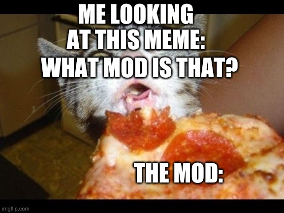 WHAT IS THAT | WHAT MOD IS THAT? THE MOD: ME LOOKING AT THIS MEME: | image tagged in what is that | made w/ Imgflip meme maker