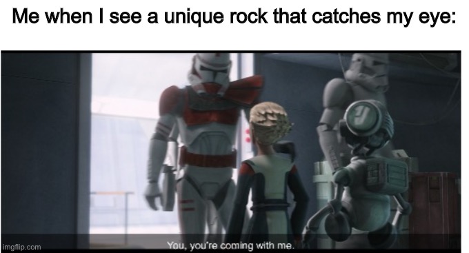 You, you're coming with me. | Me when I see a unique rock that catches my eye: | image tagged in you you're coming with me | made w/ Imgflip meme maker