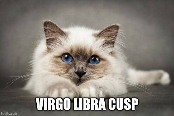 VIRGO LIBRA CUSP | made w/ Imgflip meme maker