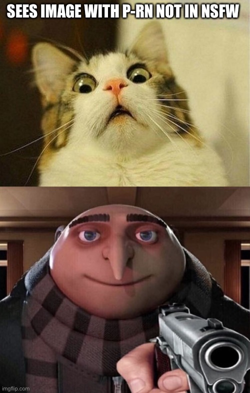 Yes. | SEES IMAGE WITH P-RN NOT IN NSFW | image tagged in memes,scared cat,gru gun | made w/ Imgflip meme maker