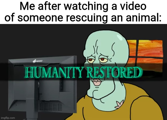 I feel like I have hope again | Me after watching a video of someone rescuing an animal: | image tagged in humanity restored | made w/ Imgflip meme maker