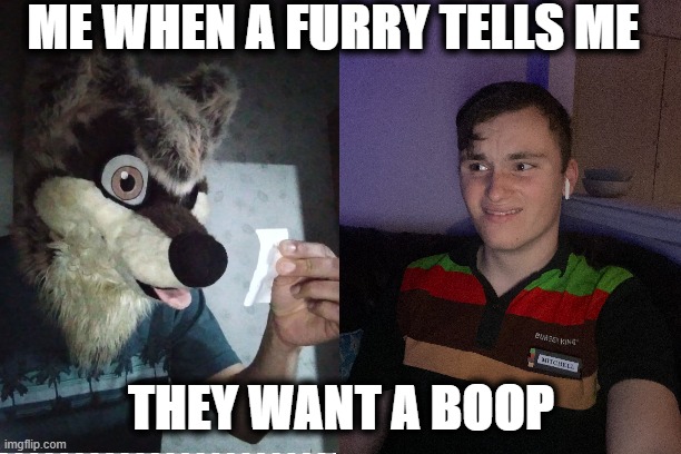 Boop trap | ME WHEN A FURRY TELLS ME; THEY WANT A BOOP | image tagged in boop,furry,wolf,nervous,reaction | made w/ Imgflip meme maker