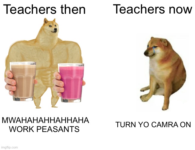 True story | Teachers then; Teachers now; MWAHAHAHHAHHAHA WORK PEASANTS; TURN YO CAMRA ON | image tagged in memes,buff doge vs cheems,oh wow are you actually reading these tags | made w/ Imgflip meme maker
