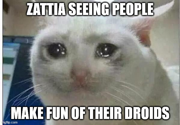 crying cat | ZATTIA SEEING PEOPLE; MAKE FUN OF THEIR DROIDS | image tagged in crying cat | made w/ Imgflip meme maker