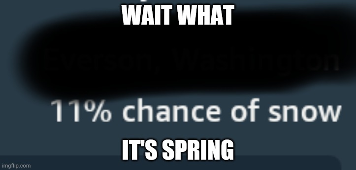 What | WAIT WHAT; IT'S SPRING | image tagged in screenshot | made w/ Imgflip meme maker