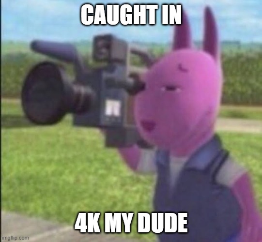 Caught in 4k | CAUGHT IN 4K MY DUDE | image tagged in caught in 4k | made w/ Imgflip meme maker