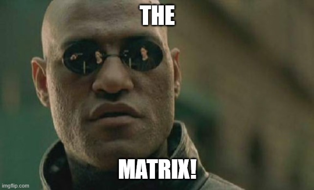 Matrix Morpheus Meme | THE MATRIX! | image tagged in memes,matrix morpheus | made w/ Imgflip meme maker