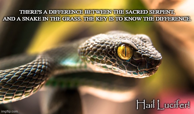 Fruit of Knowledge |  THERE'S A DIFFERENCE BETWEEN THE SACRED SERPENT, AND A SNAKE IN THE GRASS. THE KEY IS TO KNOW THE DIFFERENCE. Hail Lucifer! | image tagged in lucifer,snake,truth,serpent,knowledge,awareness | made w/ Imgflip meme maker