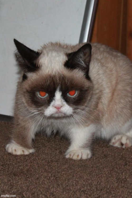 Grumpy Cat red eyes | image tagged in grumpy cat red eyes | made w/ Imgflip meme maker