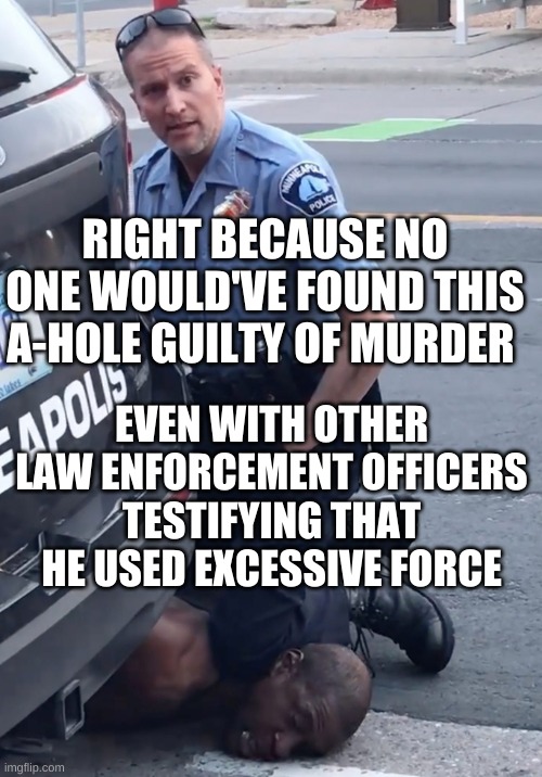 Derek Chauvinist Pig | RIGHT BECAUSE NO ONE WOULD'VE FOUND THIS A-HOLE GUILTY OF MURDER EVEN WITH OTHER LAW ENFORCEMENT OFFICERS TESTIFYING THAT HE USED EXCESSIVE  | image tagged in derek chauvinist pig | made w/ Imgflip meme maker