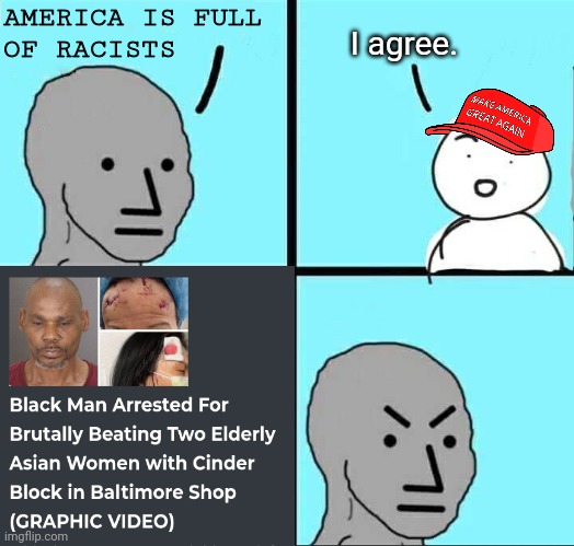 crimes against Asians | AMERICA IS FULL
OF RACISTS; I agree. | image tagged in liberal hypocrisy,racist,racism | made w/ Imgflip meme maker