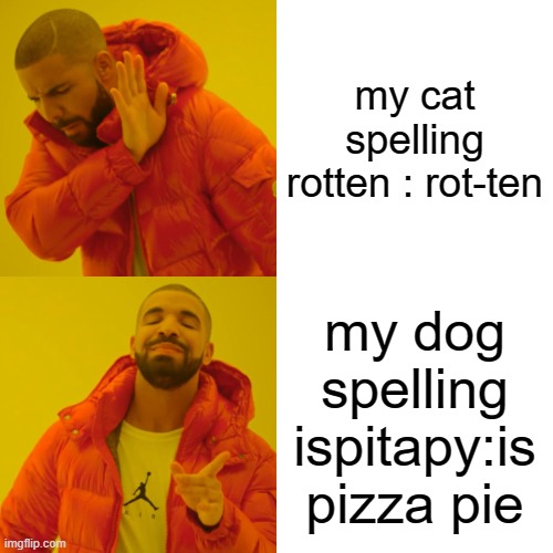 Drake Hotline Bling | my cat spelling rotten : rot-ten; my dog spelling ispitapy:is pizza pie | image tagged in memes,lol | made w/ Imgflip meme maker