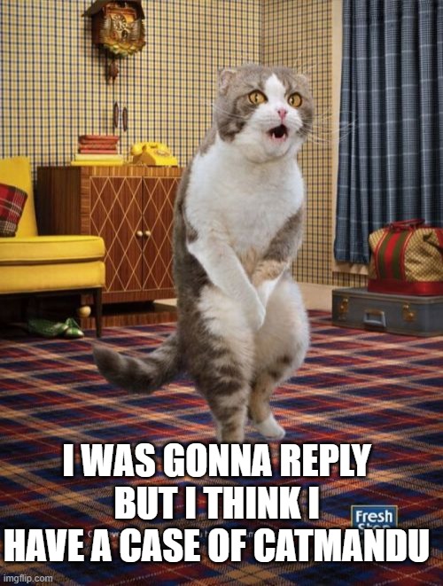 Gotta Go Cat Meme | I WAS GONNA REPLY BUT I THINK I HAVE A CASE OF CATMANDU | image tagged in memes,gotta go cat | made w/ Imgflip meme maker