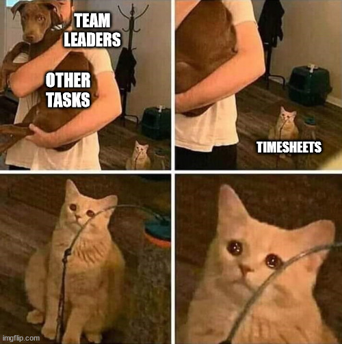Timesheets reminder | TEAM LEADERS; OTHER TASKS; TIMESHEETS | image tagged in ignored cat,timesheet reminder,timesheet meme,timesheet | made w/ Imgflip meme maker