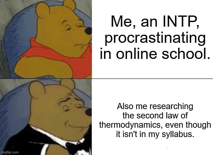 Tuxedo Winnie The Pooh | Me, an INTP, procrastinating in online school. Also me researching the second law of thermodynamics, even though it isn't in my syllabus. | image tagged in memes,tuxedo winnie the pooh | made w/ Imgflip meme maker